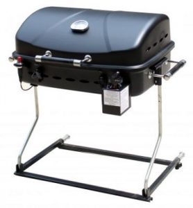 Portable Gas Grill with RV Mount